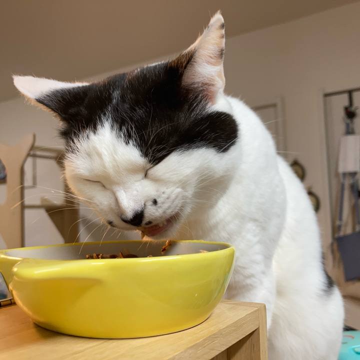 7c14fc42 2884 4ddc b95a ee23f1e54110 1773780754860