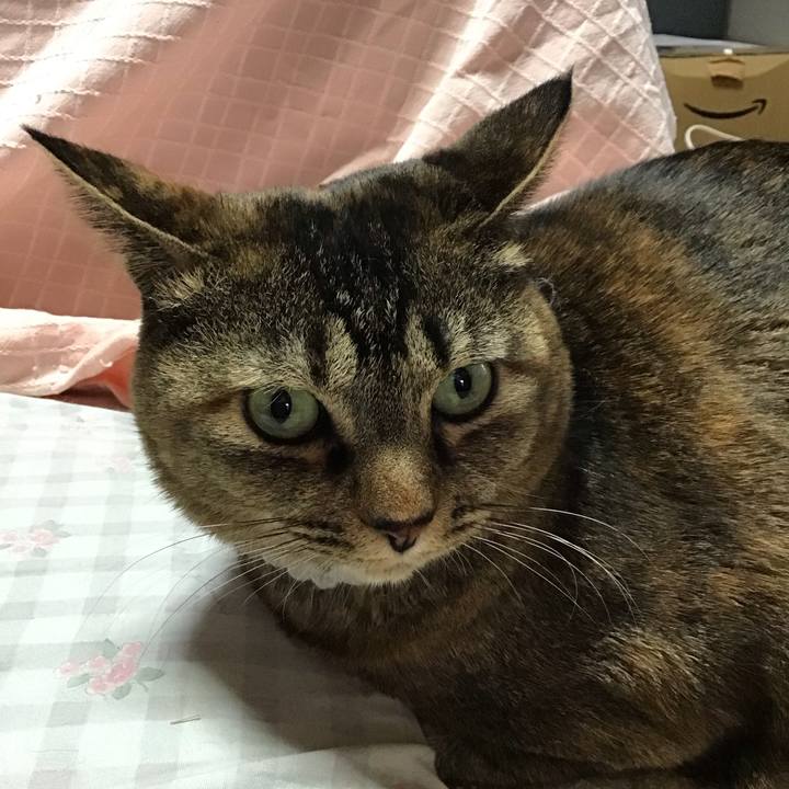 7c157dd6 6915 4857 b35a 610c5384e9a0 1739693531385