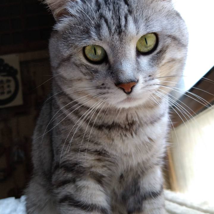 7c15b215 112c 4e62 9299 29f254ac9f7e 1652234380288