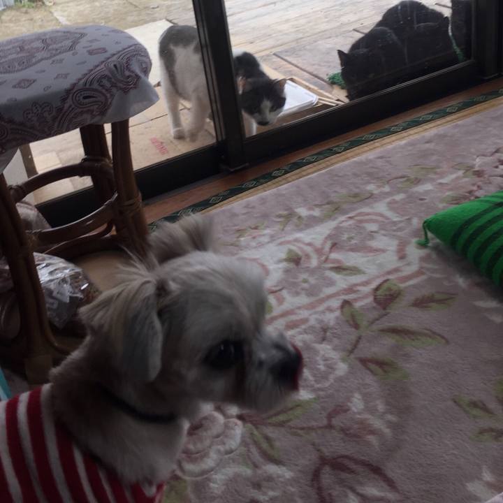 7c15bdb8 cd14 49eb a3c5 46622219d3b5 1543738438268