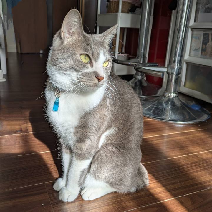 7c15d589 849b 49e5 922f a5ab51c71d0b 1735444279297