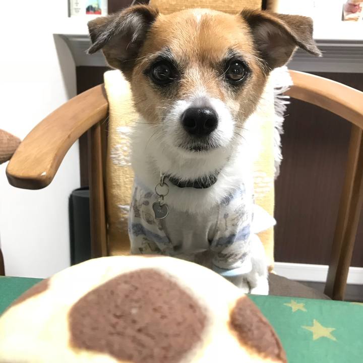 7c15e73e bbb2 4b6f 993b 734207b35a46 1529850762051