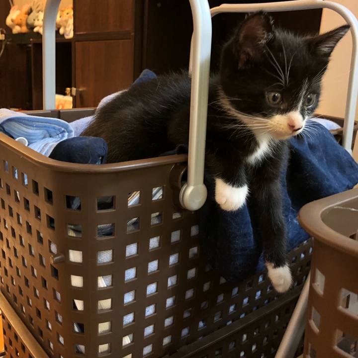 7c161614 97fd 4716 86e9 079e5593bbc3 1537789397971