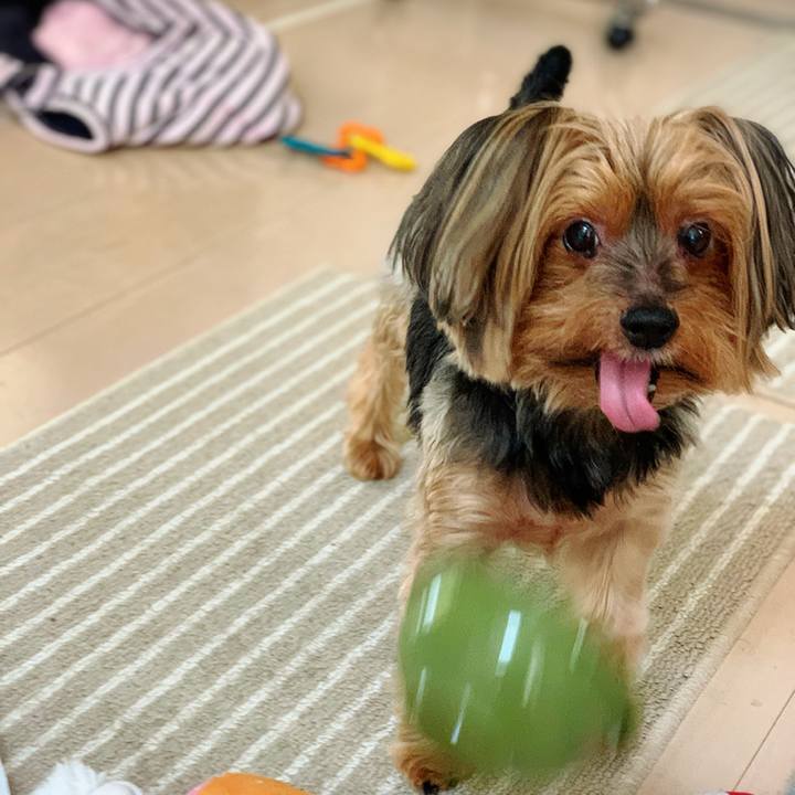 7c165b65 4463 463b 823d 67e7abbe30e9 1599190539737