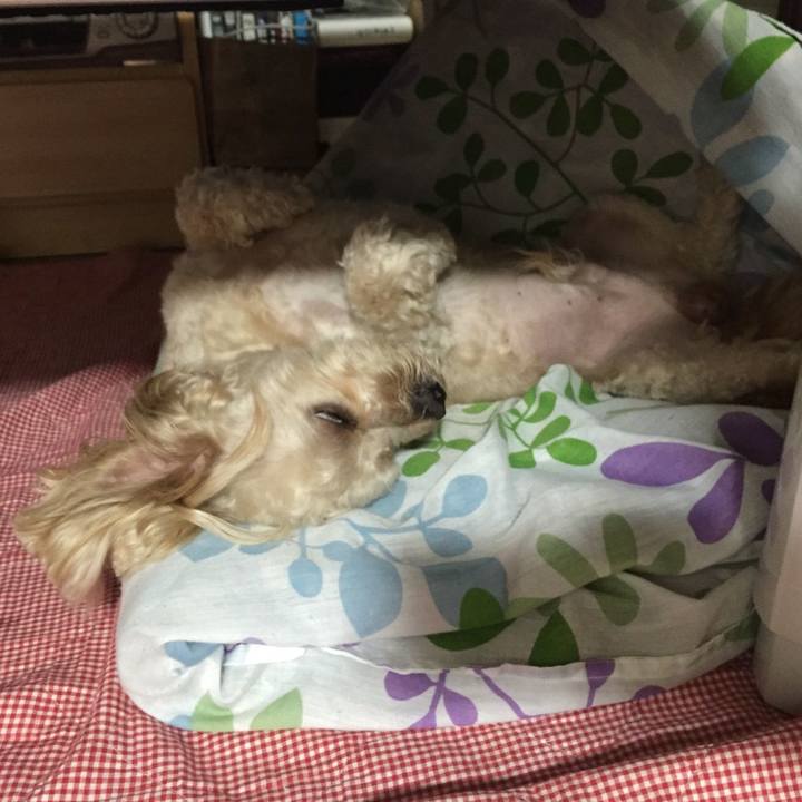 7c166083 8bad 480a bda9 68ee20d35eb6 1531618062127