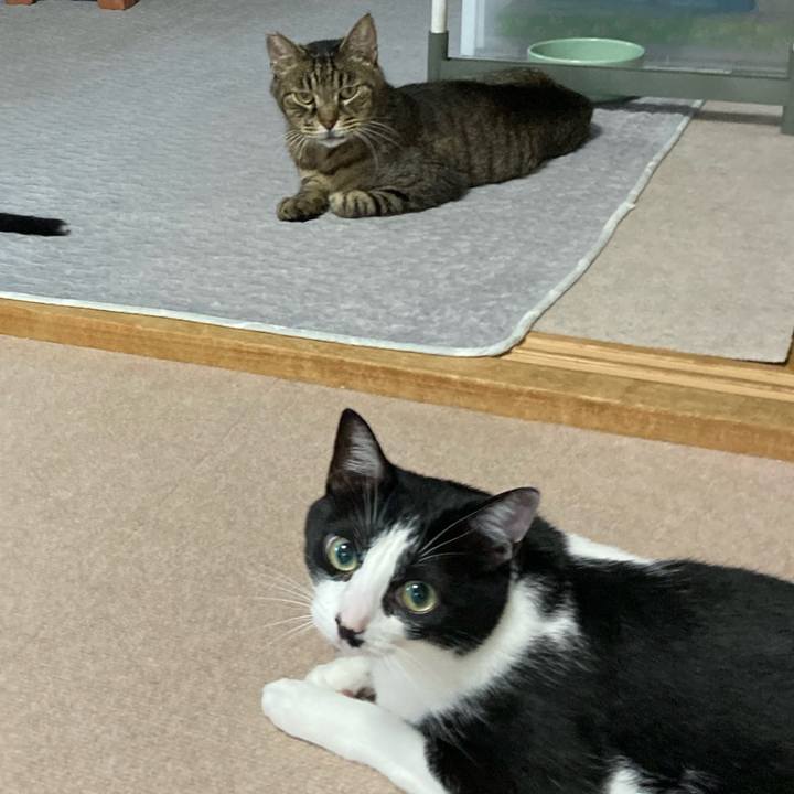 7c167579 cd0c 4205 89ce b3e534704165 1627124005541