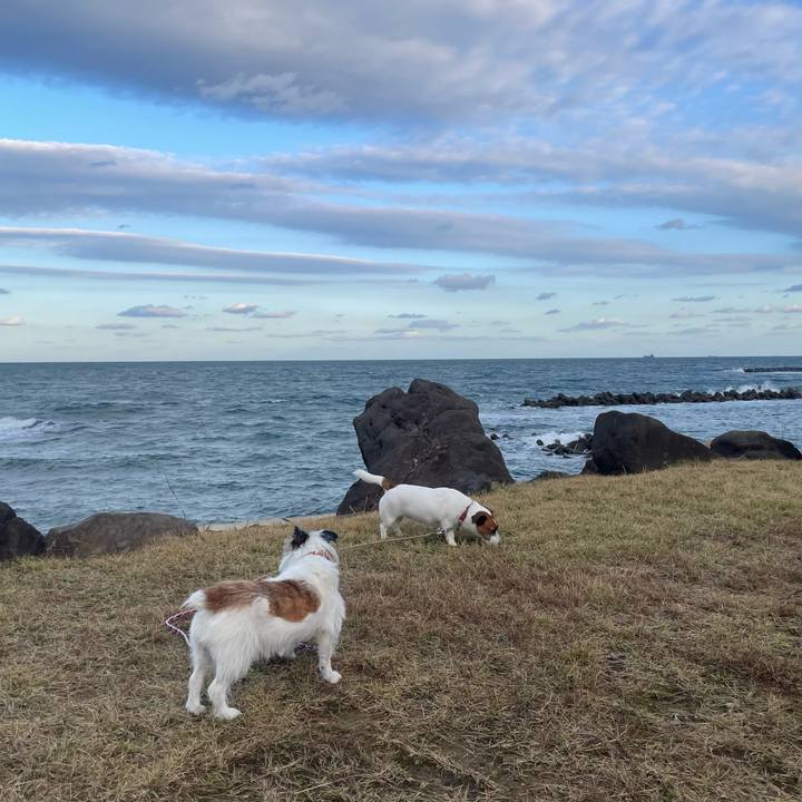 7c168775 3646 4bab a9bd 53c0bf3e483f 1763077077932