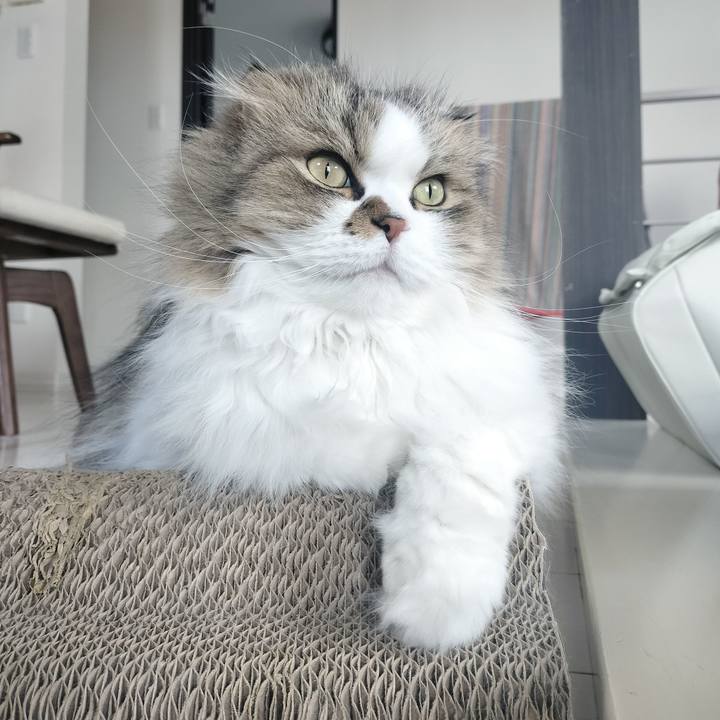 7c16c5d5 e0b1 4eab 874e 0a0c0d85995c 1775604422425