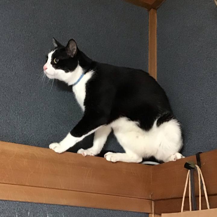 7c16cc56 4e9a 48f7 89a6 fdb256c818eb 1744277100584