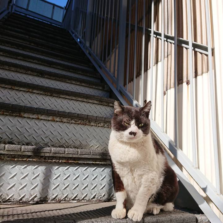 7c16d043 1f6c 45d6 ba3e 8ed7dbb8410c 1610168029865