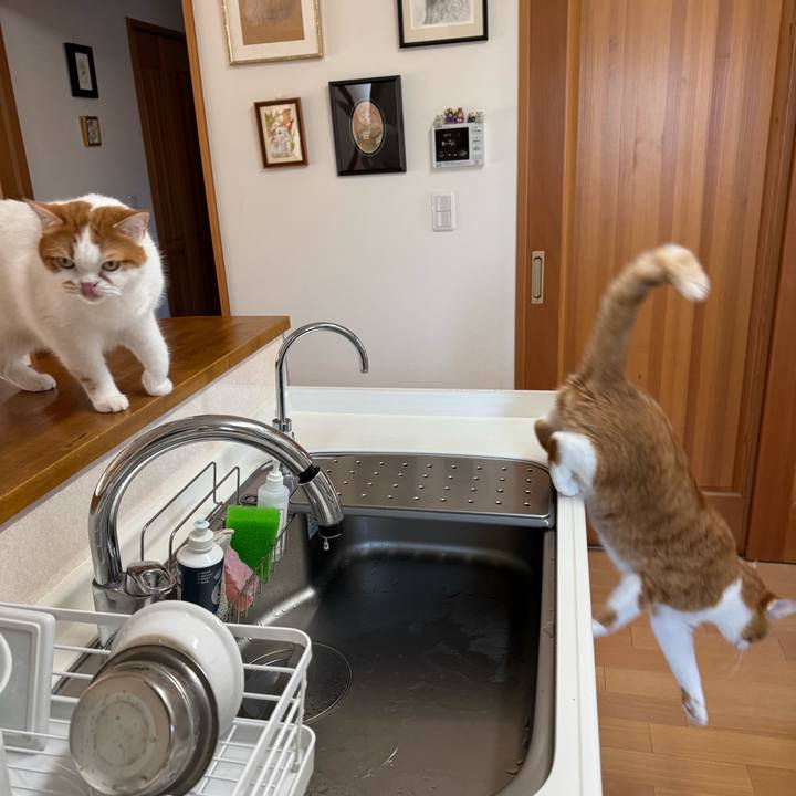 7c170a4a 2cbe 46da 8ec4 ae3aeb0abcda 1772932488244