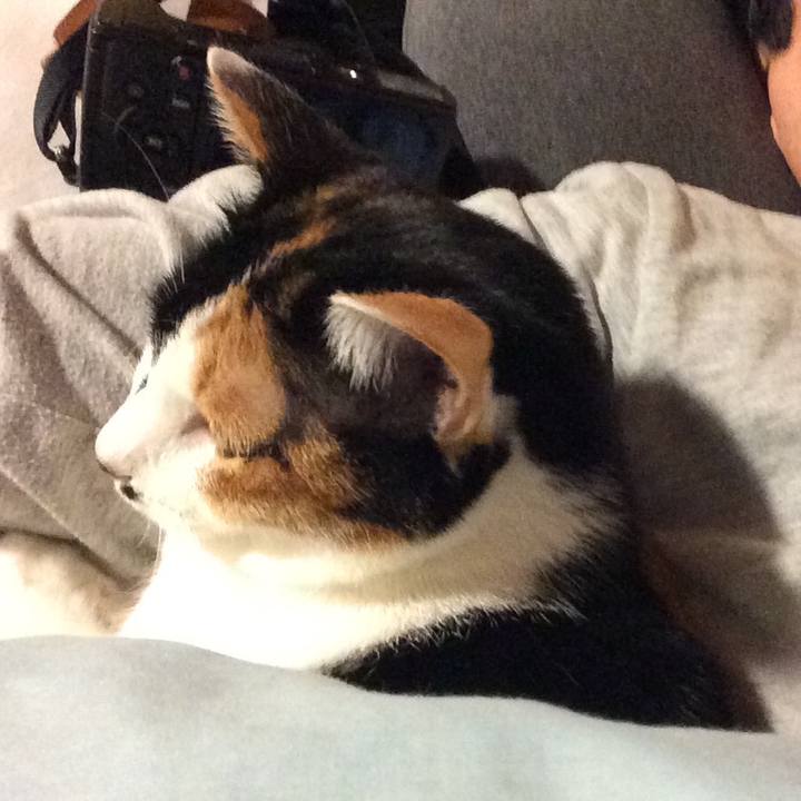 7c170c81 9fcf 4a36 b141 80532d033b2b 1551106598015