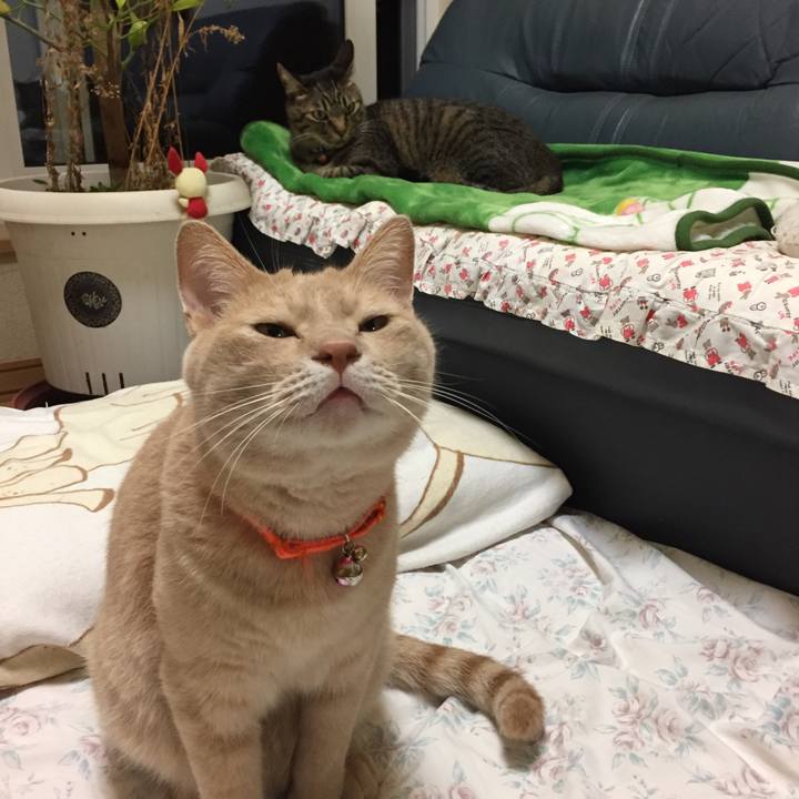 7c172276 511d 4772 8951 16024ab088df 1600347662119