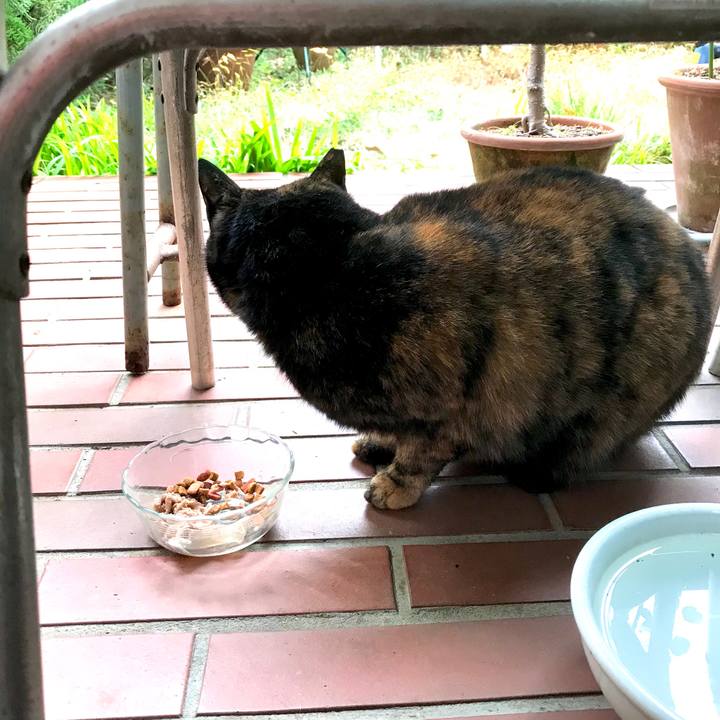 7c173cc1 c290 4a7d b816 26b7008738e3 1576294243729