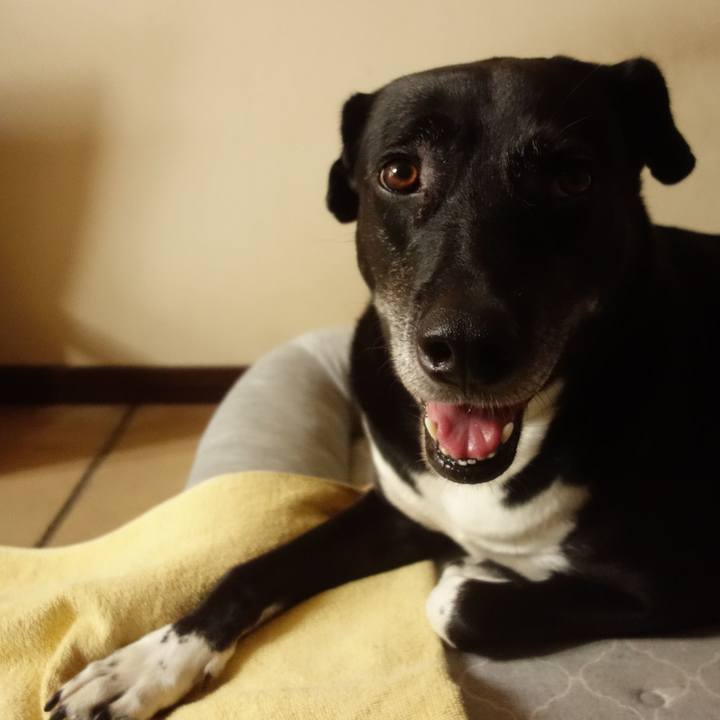 7c174a9d 967b 4d4b 86d7 ec208ce981ec 1695946395827