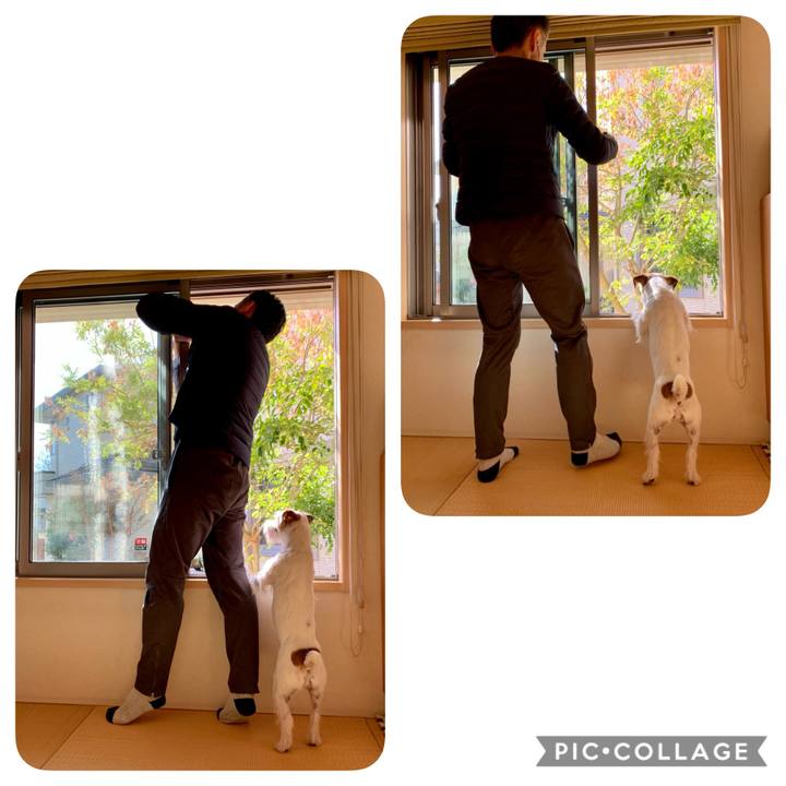 7c17576e e020 4824 8dc8 dd32a3934b24 1608463376030