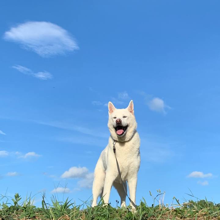 7c179a3e 6b41 4314 a303 ef15c7772e18 1565735115510