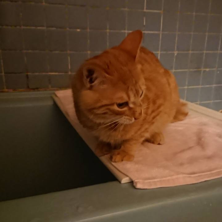 7c17c923 39cc 4bd7 870b 2208cecc69e0 1638350726583