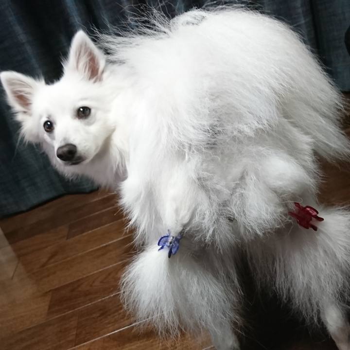 7c17d31a bca1 4c91 b371 06cceb564c8d 1523711330897