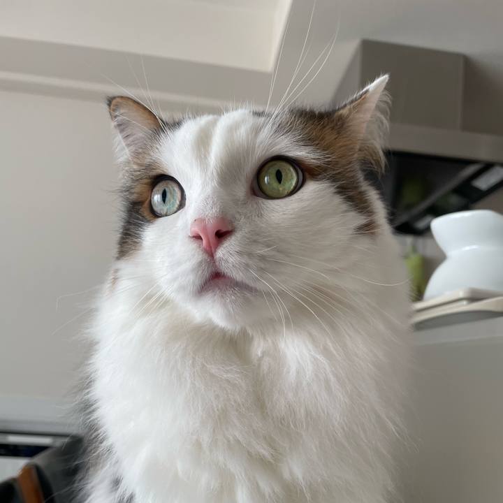 7c1808e7 25c6 4b95 814f 89da919ef679 1767668053223