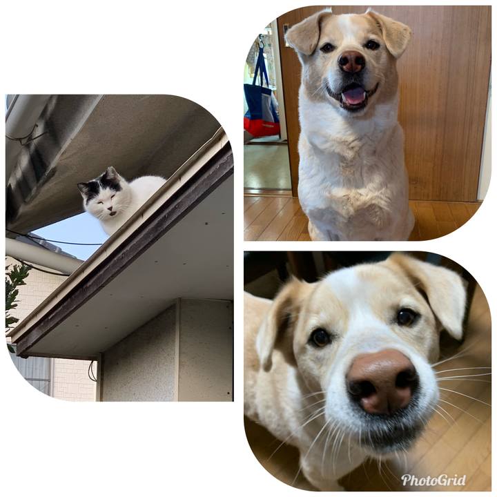 7c182fc9 d4a5 40a7 b2ac 9e6b6bb44278 1581032449432