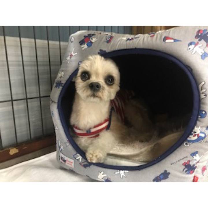 7c1847f3 6eb2 4cd1 b1b3 e40fb68dc327 1553084591632