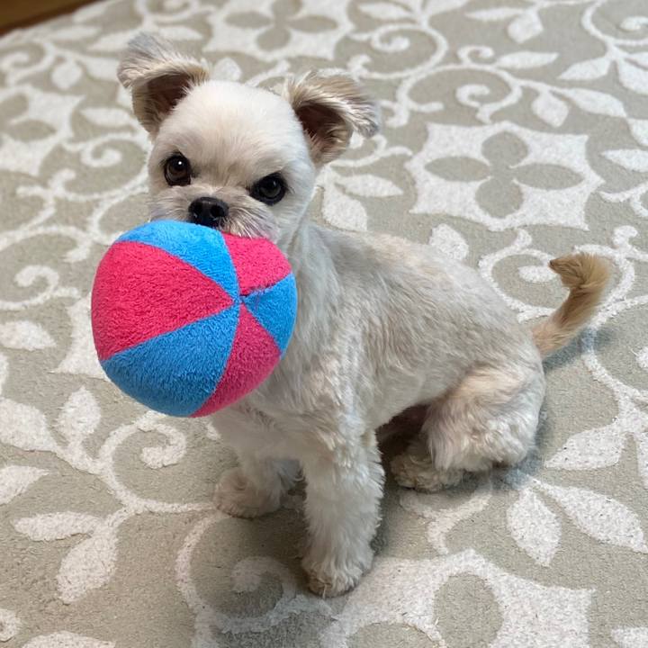 7c184e45 f329 4a1d a85e ad2379b01b98 1578444644233