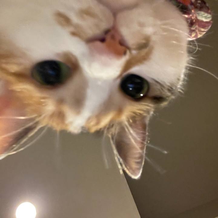 7c185f1a 565c 4719 a630 90a99811da90 1741616645840