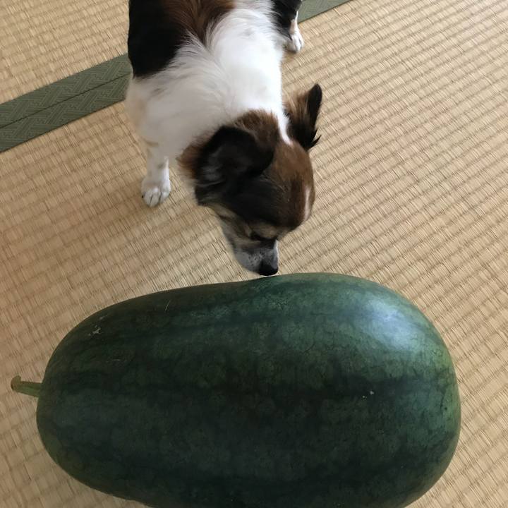 7c18a748 115a 4217 ad01 07d17e083c69 1534217601622