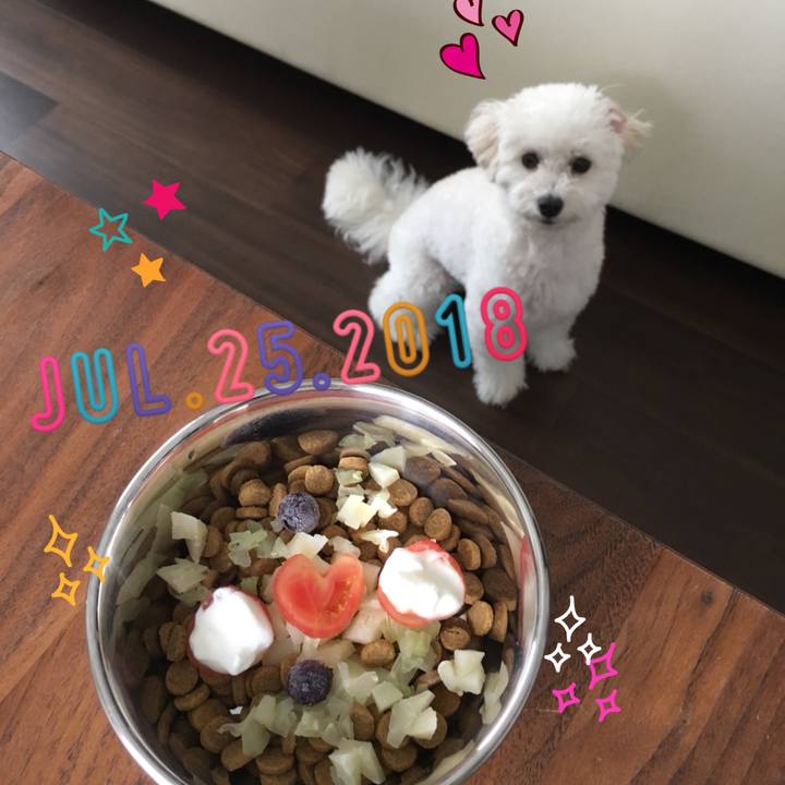 7c18f3f4 b2f0 4a2d b51c c54fb85c0b68 1532522969549