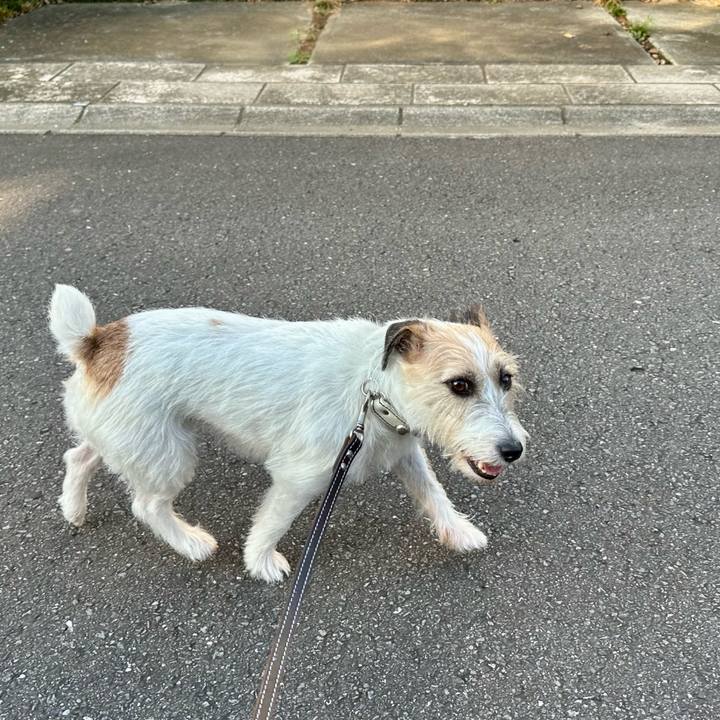 7c193389 0edb 4efd 8968 937ceef4ce69 1757317549916