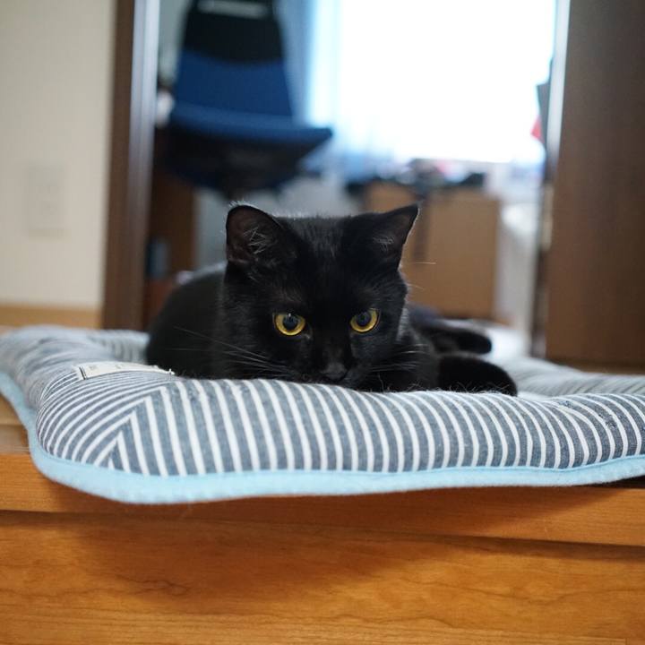 7c1933bd 8280 4c4a ad75 4d5264e595fc 1537400410040