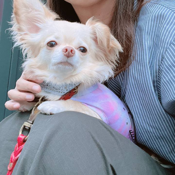 7c19524b 24ef 4f58 a546 2d0bce5581eb 1661849232593