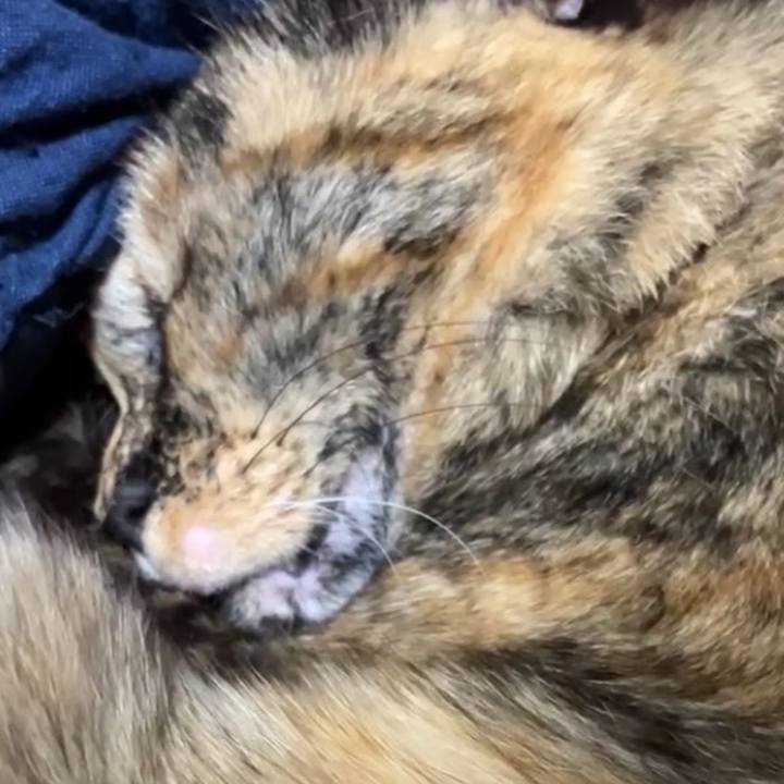 7c199540 93e4 4d5b 9b16 973af26f3bea 1743422864386