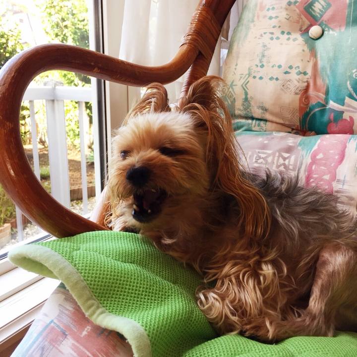 7c199653 4da7 4632 b49f f1a1058551f6 1534753076334