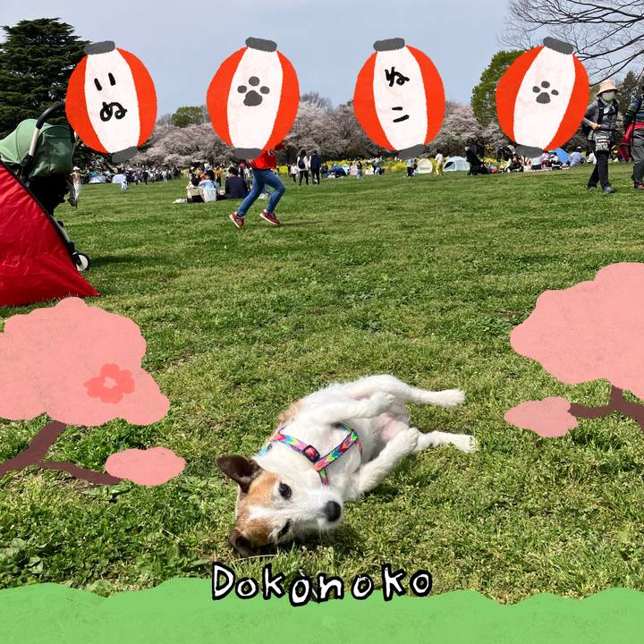 7c199d6c f089 4f13 ba08 4815fa930aaa 1712532209470