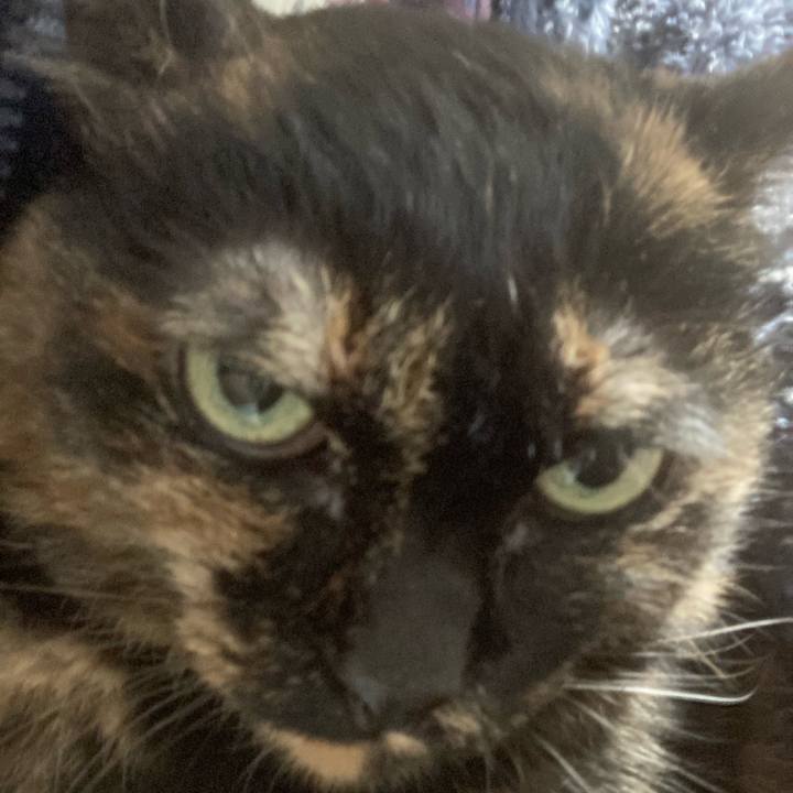 7c19a4e2 c444 4ca1 ba70 391449f5dbe5 1764112737204