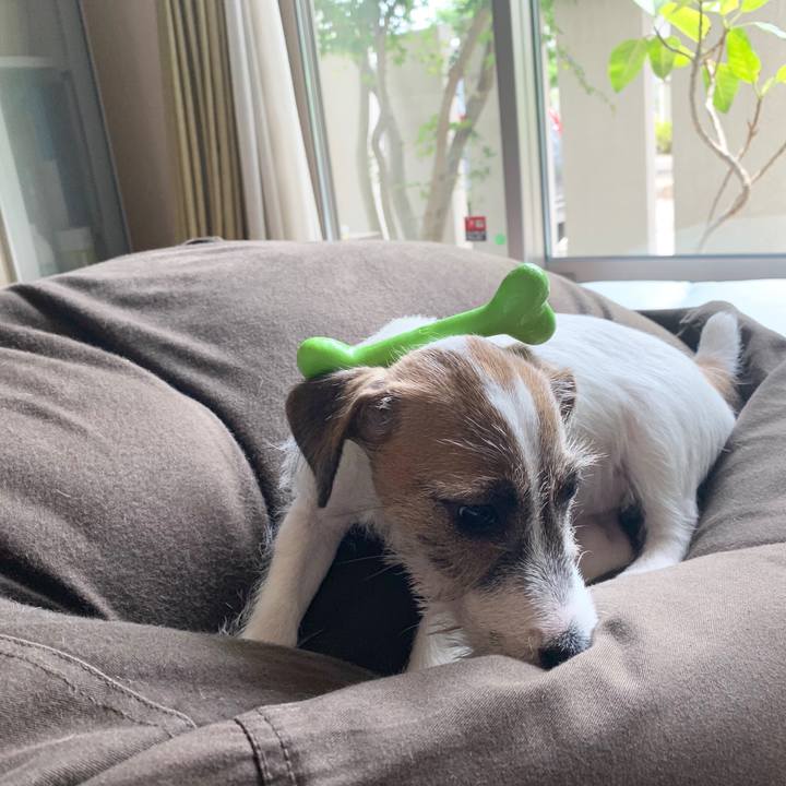 7c19a525 0c7d 446d 866c f408550eee56 1561088808373