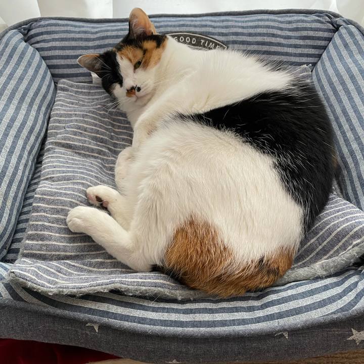 7c19a8bc 27a0 4f2e aa2c 302087e359ec 1617873510897