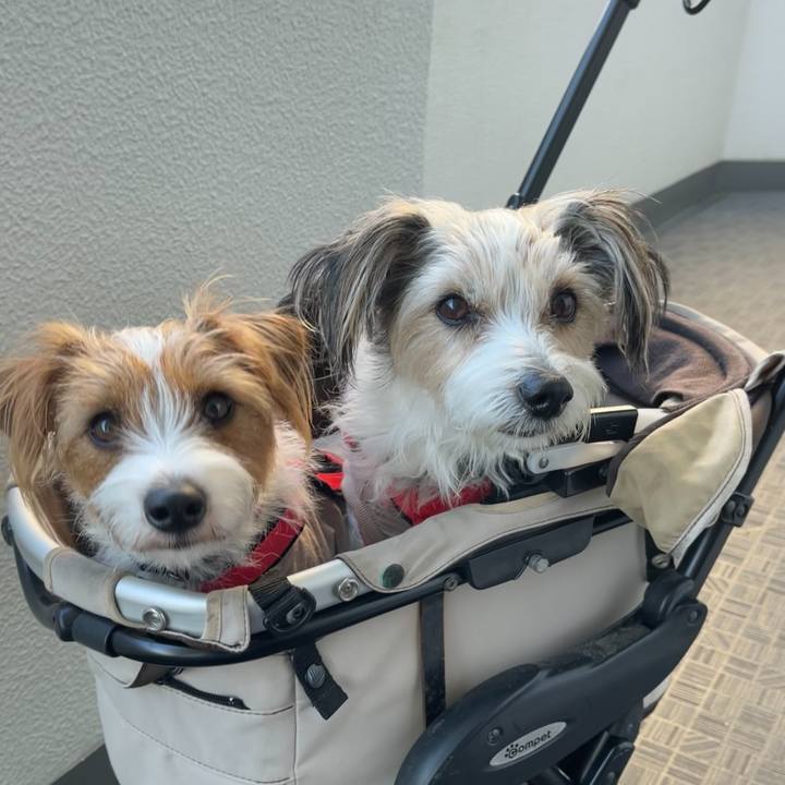 7c19e114 d12c 4a2b 992a d3929d6fce24 1764550942914