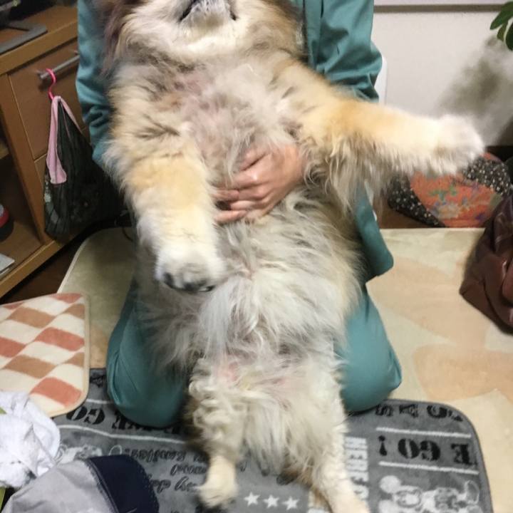 7c19e553 1c78 4912 aac9 6d9d74044f3b 1629744603077