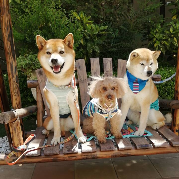 7c19ee8c e037 4d3d 863a 6c9b034261a7 1619080291838