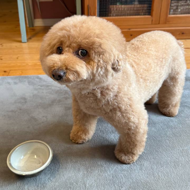 7c1a11df a745 4bce ac3d 0e3d6577efb8 1766879855207