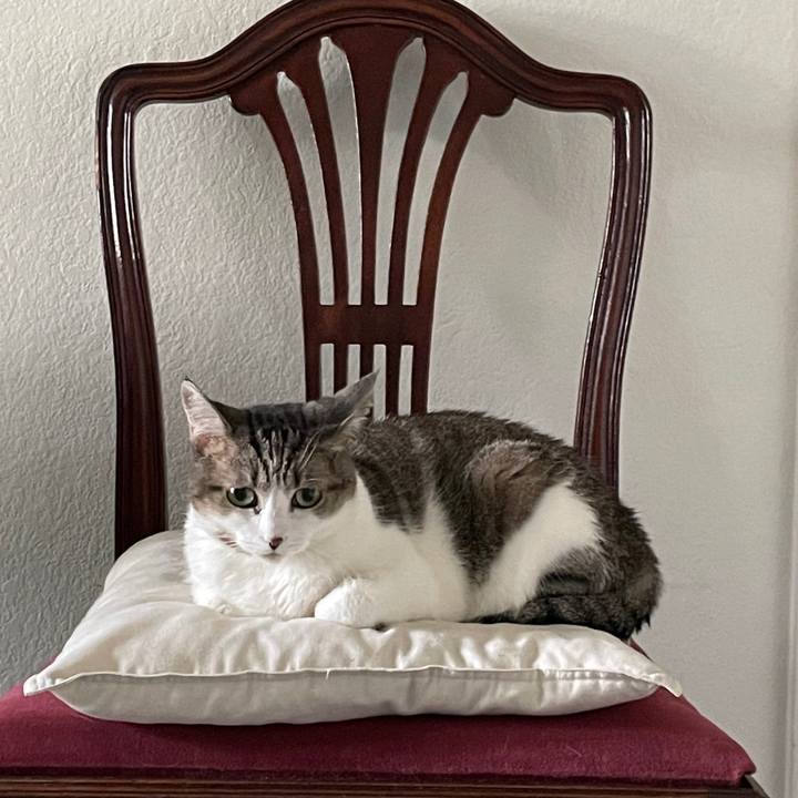 7c1a2b6f 0deb 42e2 bdef 0ecf19b19b33 1743911351959