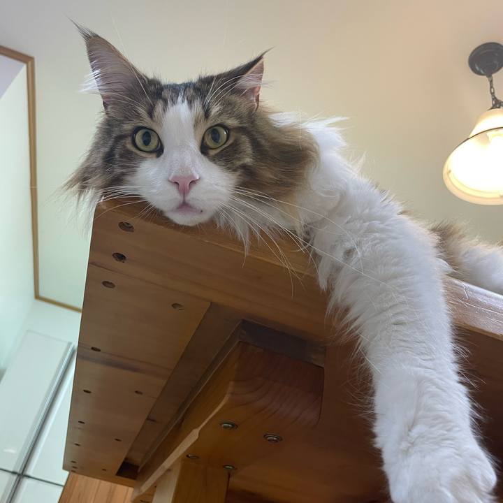 7c1a410c c90b 4ecd aef1 7fe2719629d6 1672523223251