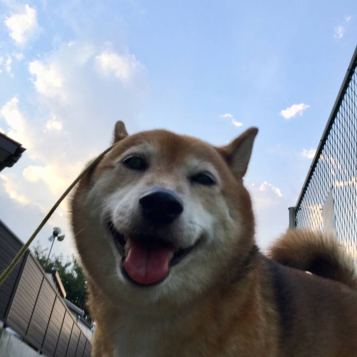 7c1a5381 f0a2 4d51 8afe 724cfa2220f9 1597396311125