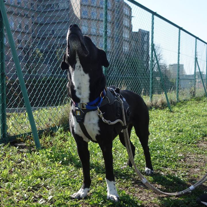 7c1a67f0 9679 4162 b12f 1a9f292d0df9 1649379512865