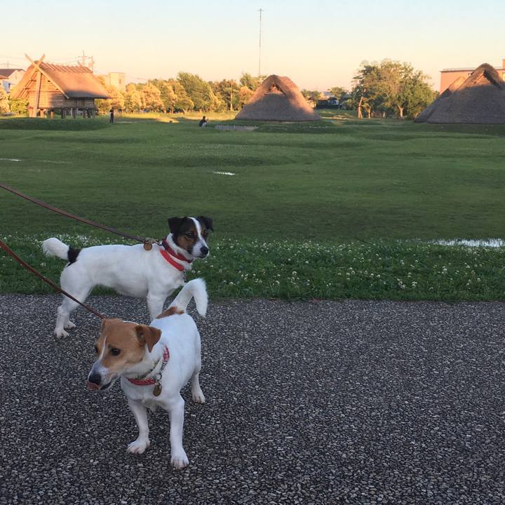 7c1a99fa 8477 4879 aad9 c15b53d76de6 1560679743989