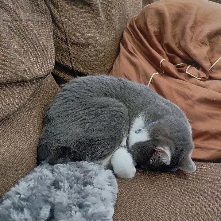 7c1ac743 f535 4901 9694 52f15877835c 1678176458438