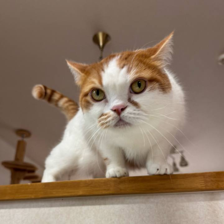 7c1ad2b2 972d 498b b666 12a1e8170f9e 1773023104225